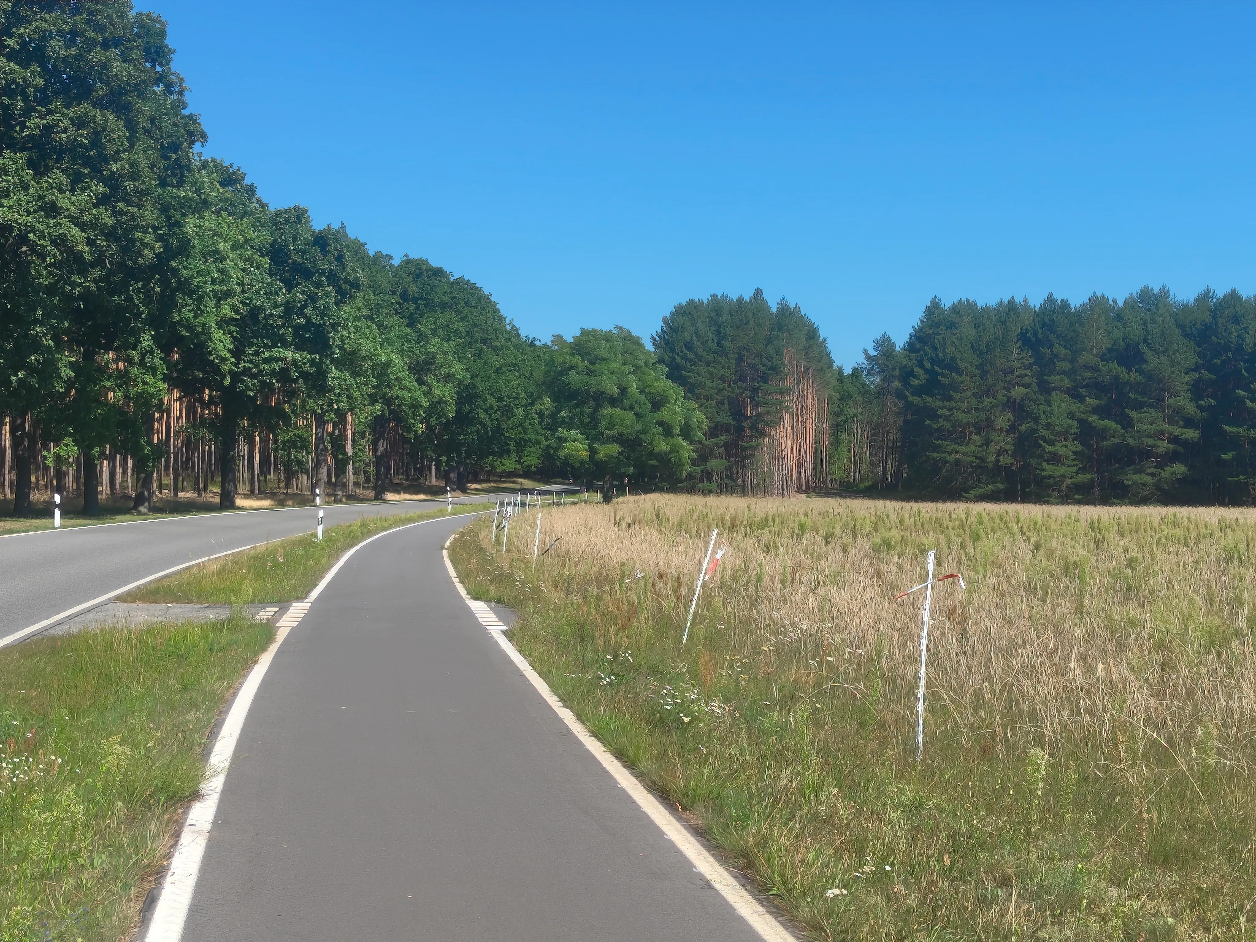 Beautiful bicycle path next to a road